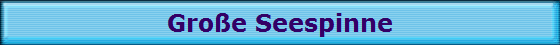 Gro�e Seespinne
